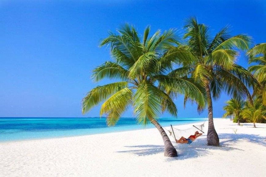 Kuredu Island Resort & Spa vas bo razvajal, prav tako pa tudi palme in plaža